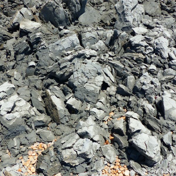 Heap of Eype Clay Member debris from a minor rock fall on cliffs at Seatown