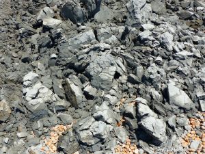 Heap of Eype Clay Member debris from a minor rock fall on cliffs at Seatown