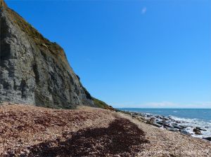 View looking east at Ridge Cliff and East Ebb on Seatown beach in Dorset