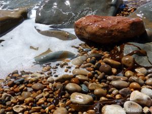 Boulders on a pebble beach washed by waves