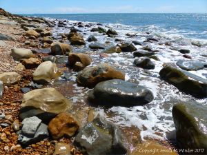 Boulders at East Ebb beneath Ridge Cliff at Seaton in Dorset