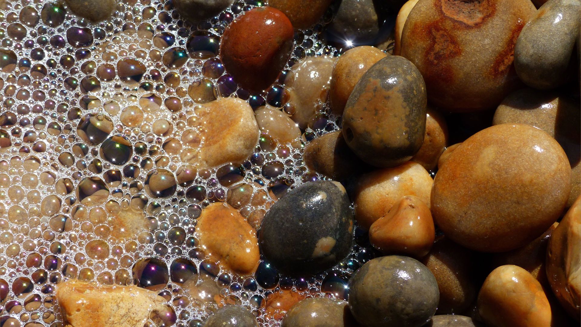 Coloured wet pebbles with sea foam on the waterline at Seatown beach, Dorset, England.