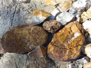Stones and flint on the beach