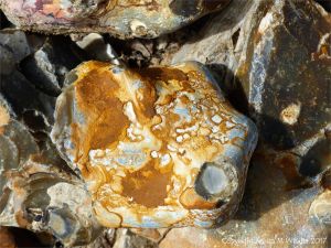 Patterned beach stone