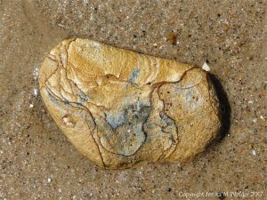 Patterned beach stone on a sandy beach
