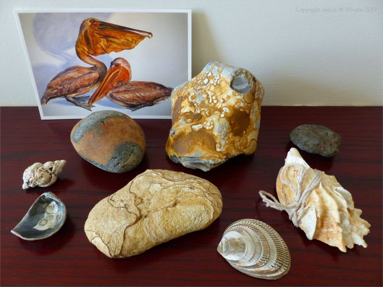 Collection of natural curiosities on my mantlepiece