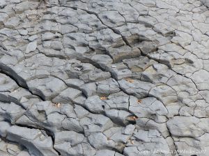 Rock fracture pattern from Seatown cliffs