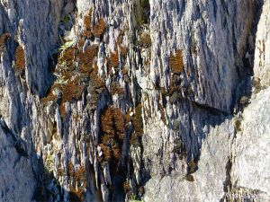 Fine layers of ash in volcanic tuff from Cape Breton in Nova Scotia