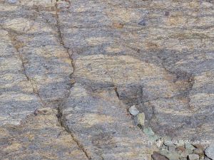 Close-up rock texture in tuff