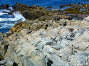 Rocks composed of volcanic ash (tuff) near Louisbourg Lighthouse in cape Breton, Nova Scotia.