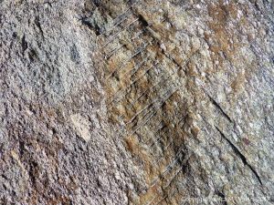 Detail of texture in volcanic tuff rock dating from the Neoproterozoic 575 million years ago