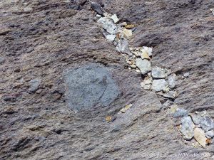 Volcanic bomb embedded in tuff