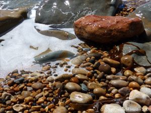 Colourful wet pebbles in the breaking waves at the waters' edge on the beach