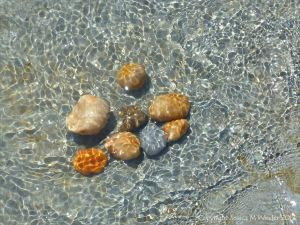 Colourful pebbles covered by a pattern of sun-lit rippled water