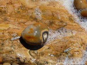 Colourful wet pebble in the breaking waves at the waters' edge on the beach