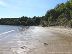 View of South Beach Studland looking towards the corner where the worms burrow into chalk