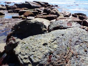 View of Seatown Beach in Dorset, England showing boulders on the low tide waterline.