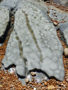 Erosion in intertidal mudstone layers at Seatown in Dorset