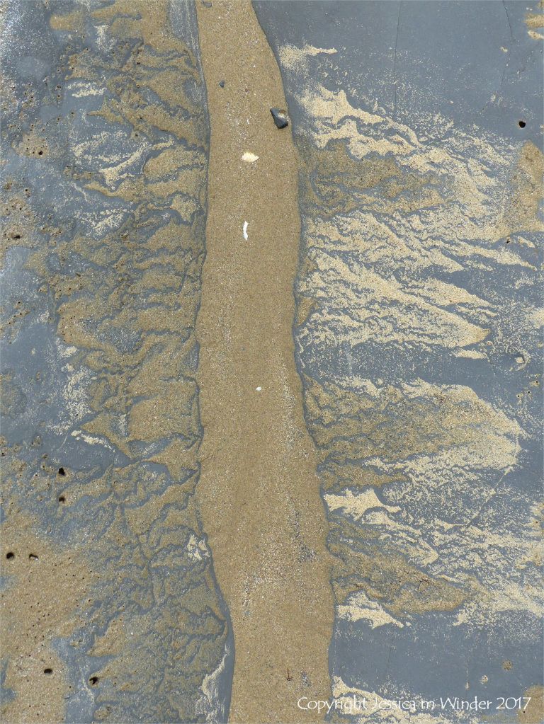 Sand-filled sinuous channel being eroded in an intertidal rock layer