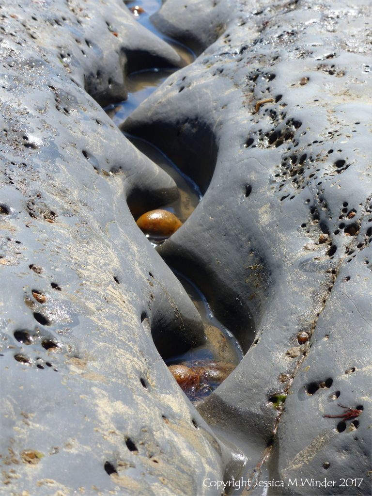 Sinous channel being eroded in intertidal rock layers