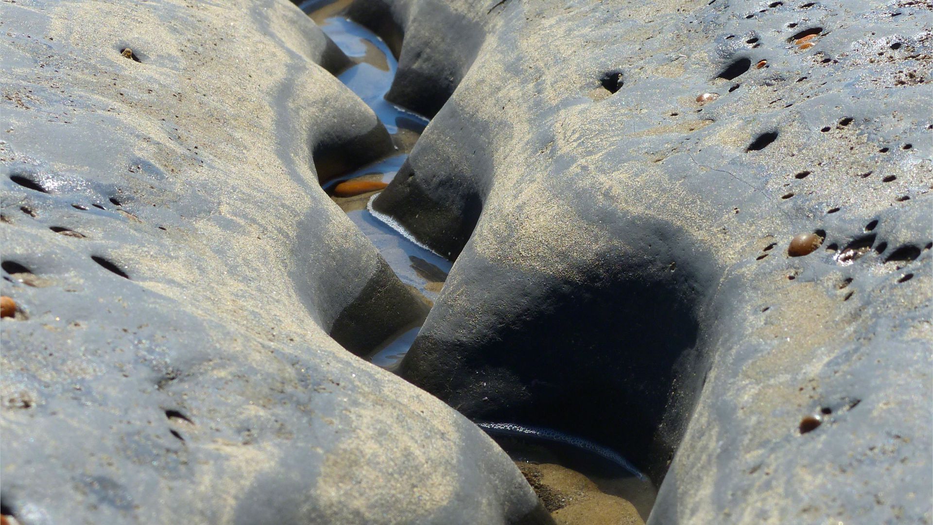 Winding channel being eroded through intertidal rock layers