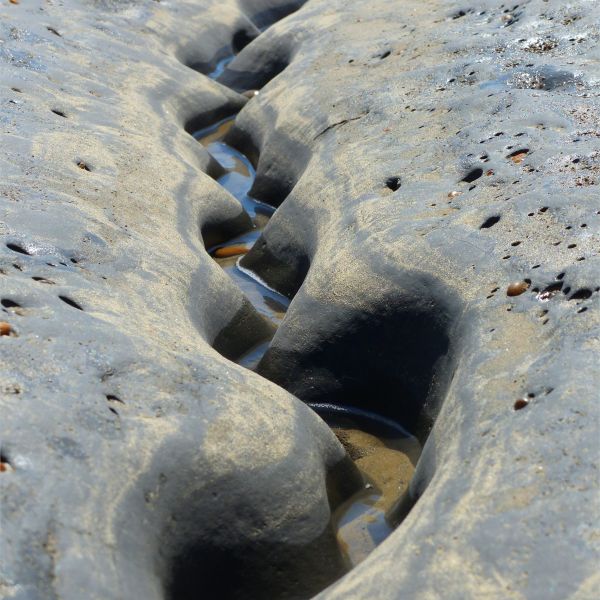 Winding channel being eroded through intertidal rock layers