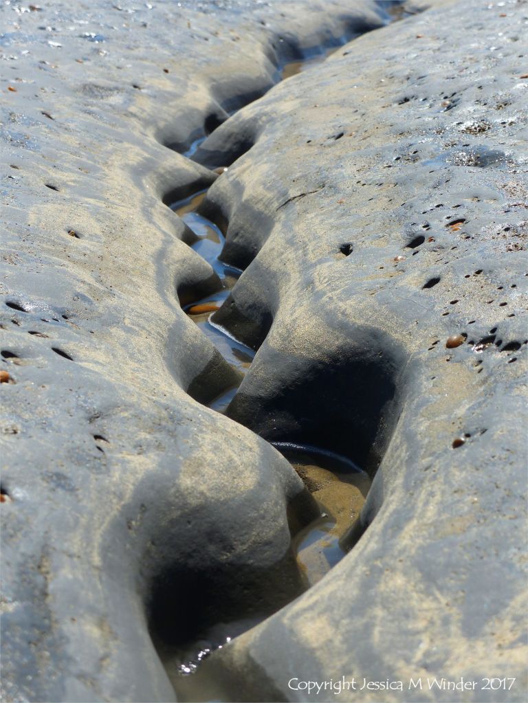 Winding channel being eroded through intertidal rock layers