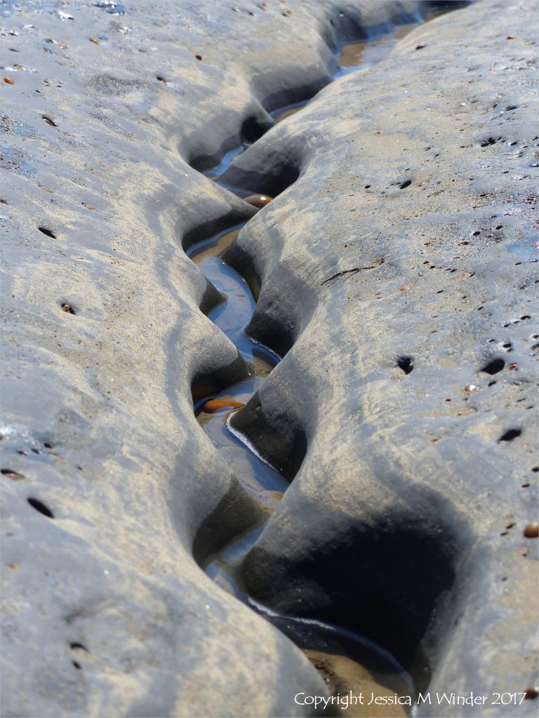 Sinous channel being eroded in intertidal rock layers