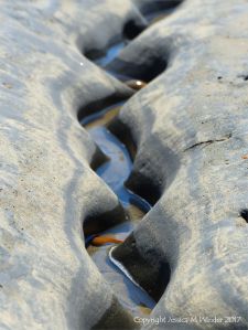 Sinous channel being eroded in intertidal rock layers