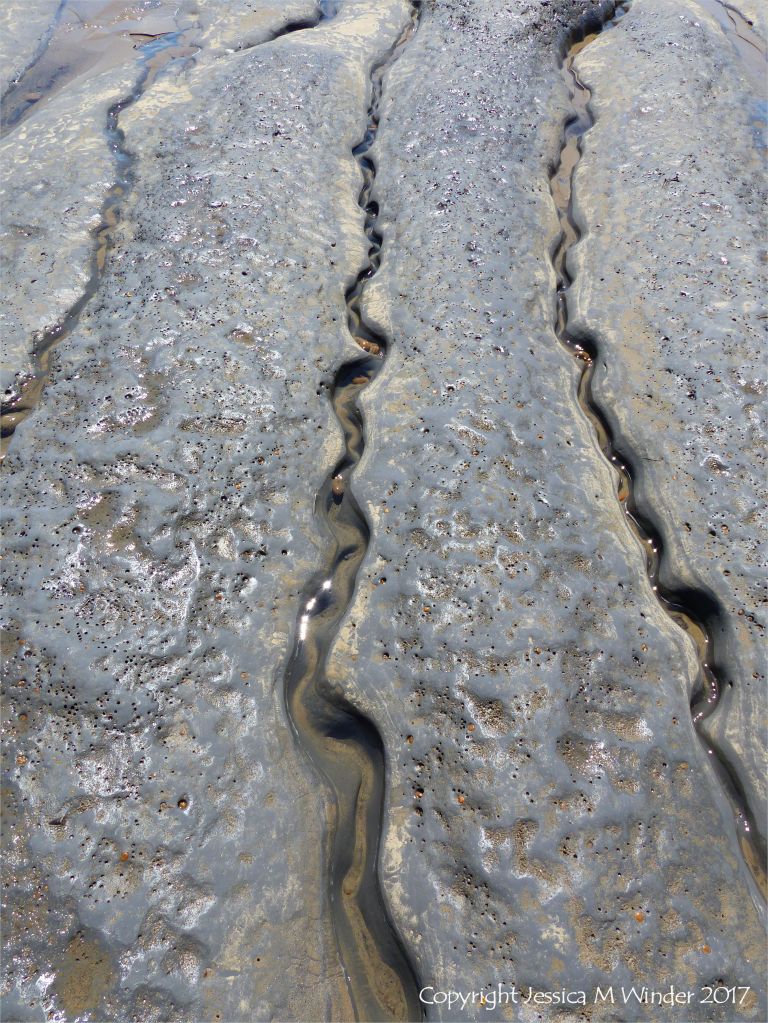 Sinuous channels being eroded in intertidal rock layers