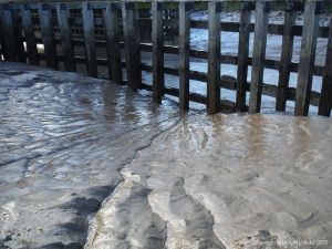 Pattern and texture in soft river mud at low tide