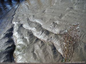 Pattern and texture in soft river mud at low tide