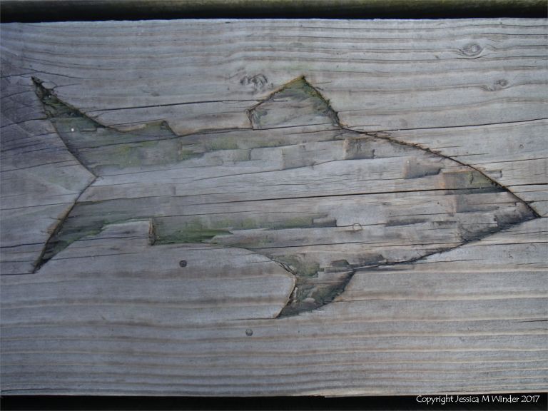 Fish carving in a wooden plank on a pier