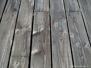 Natural wood knots in cut timber