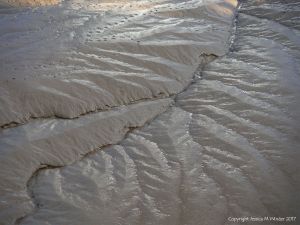 Pattern and texture in soft river mud at low tide
