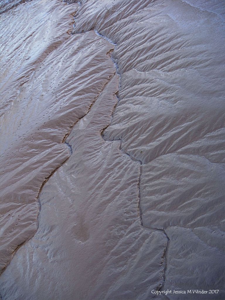Pattern and texture in soft river mud at low tide