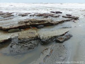 Holes in rock made by piddocks