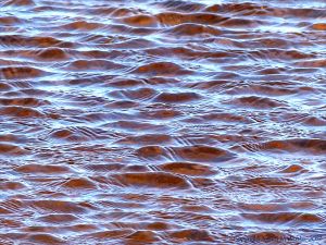 Water surface texture with ripples