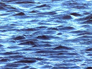 Water surface texture with ripples
