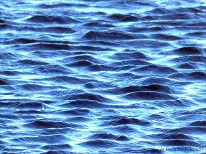 Water surface texture with ripples