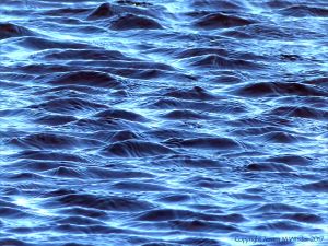 Water surface texture with ripples