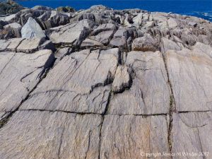 Rock texture in compacted volcanic ash or tuff