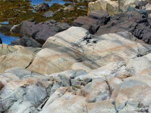 Rock texture in compacted volcanic ash or tuff