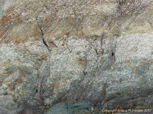 Rock texture in compacted volcanic ash or tuff