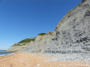 Context shot of the cliff of Green Ammonite Member rock at Seatown in Dorset, England.