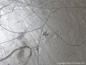 Tracks and trails made by small seashore invertebrate creatures in soft mud