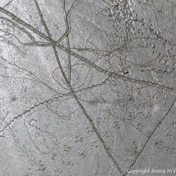 Tracks and trails made by small seashore invertebrate creatures in soft mud