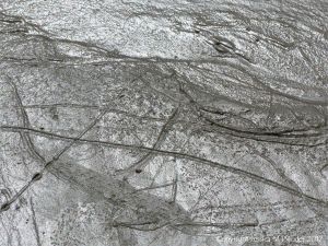 Tracks and trails made by small seashore invertebrate creatures in soft mud