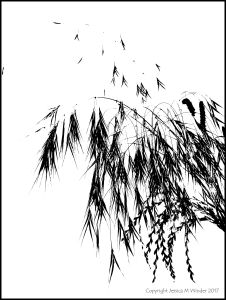 Black and white abstracted image of grasses
