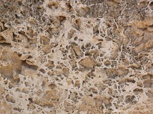 Detail of crystal pattern in a limestone wall